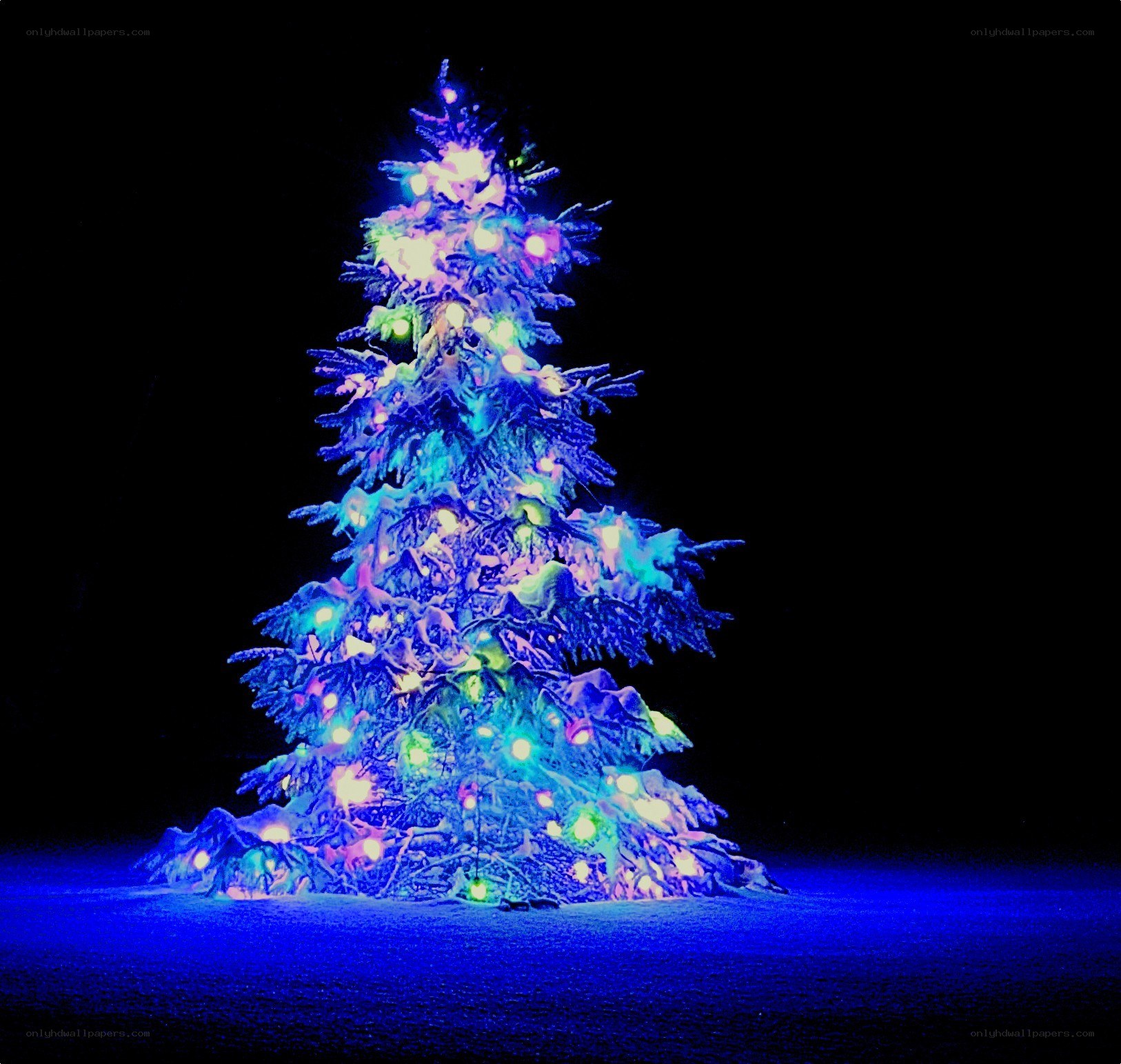illuminated christmas tree