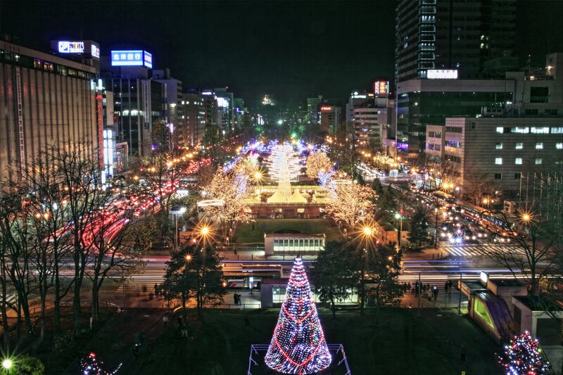 Illuminated Christmas Tree — Black, Festive, Night, Photograph