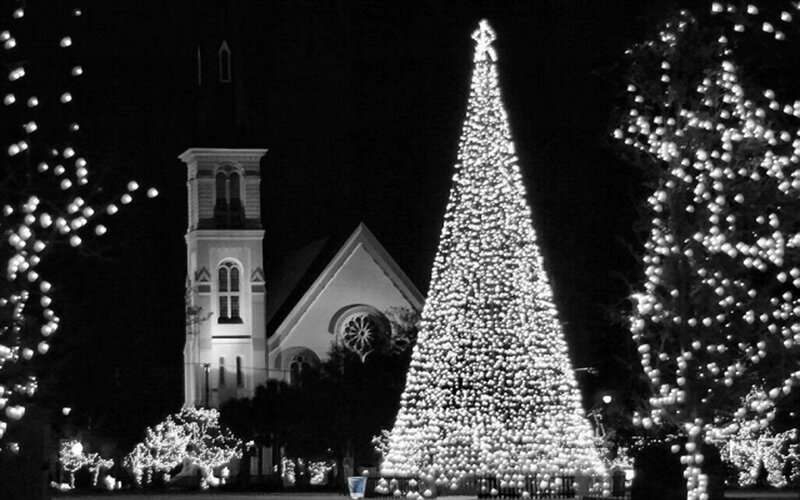 Illuminated Christmas Tree — Black, Festive
