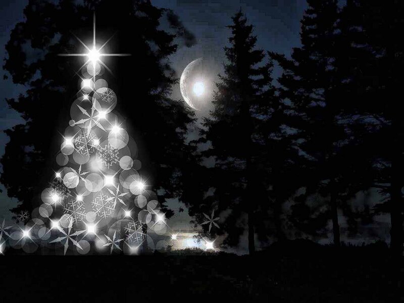 Illuminated Christmas Tree — Black