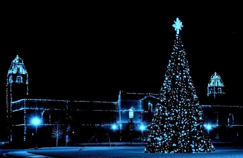 Illuminated Christmas Tree — Blue, Festive, Night, Photograph, Building