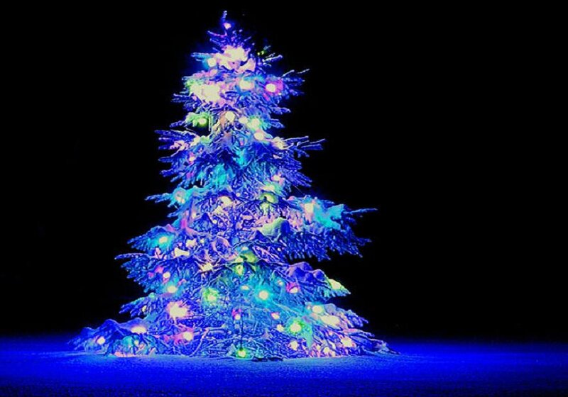 Illuminated Christmas Tree — Blue, Festive, Night, Photograph, Lights