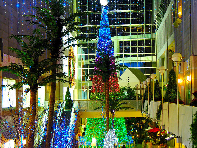 Illuminated Christmas Tree — Blue, Festive, Night, Photograph