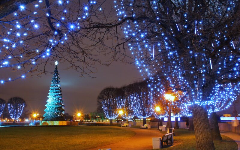 Illuminated Christmas Tree — Blue, Festive, Night, Photograph, Trees, Lights