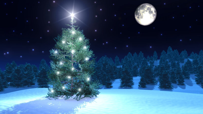 Illuminated Christmas Tree — Blue, Serene, Night, 3d Render