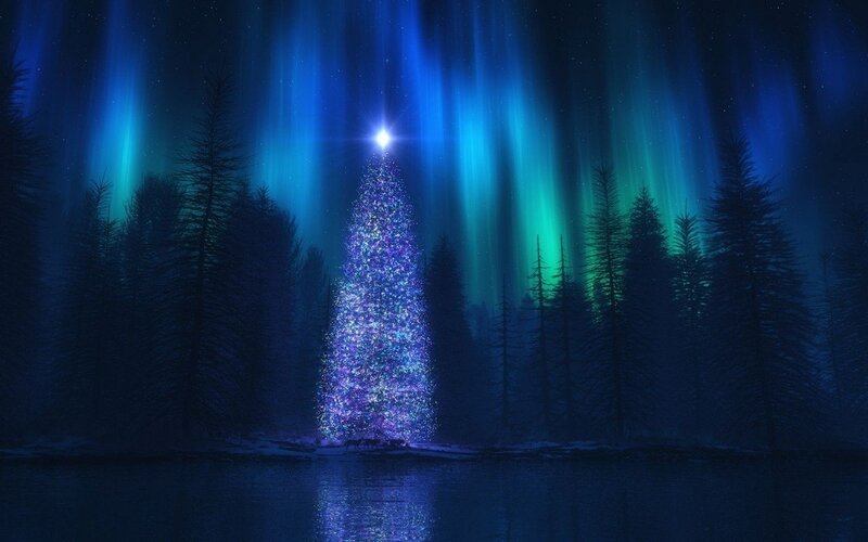 Illuminated Christmas Tree — Blue, Serene, Night, Digital Art, Forest