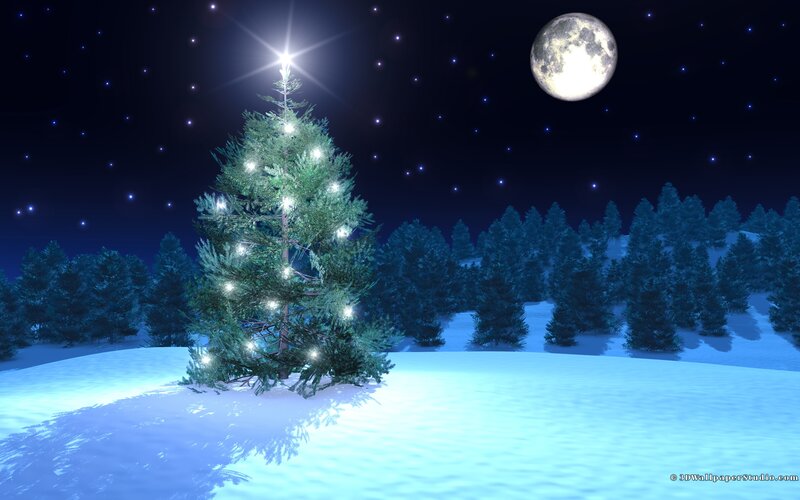 Illuminated Christmas Tree — Blue, Serene, Night, Digital Art, Moon