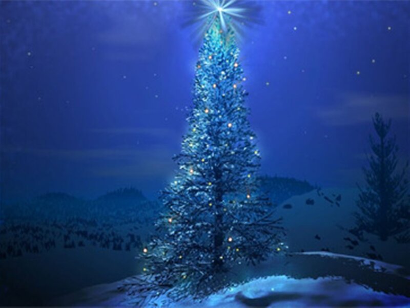 Illuminated Christmas Tree — Blue, Serene, Night, Digital Art, Snow, Stars, Mountains