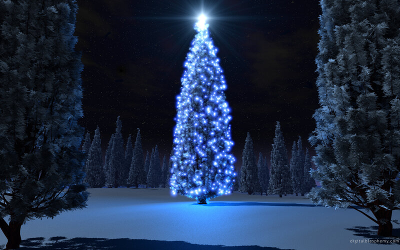 Illuminated Christmas Tree — Blue, Serene, Night, Digital Art, Snow, Trees, Night Sky