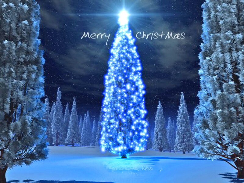 Illuminated Christmas Tree — Blue, Serene, Night, Digital Art, Snow, Trees