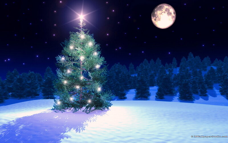 Illuminated Christmas Tree — Blue, Serene, Night