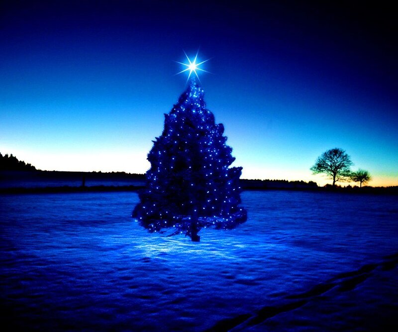 Illuminated Christmas Tree — Blue, Serene