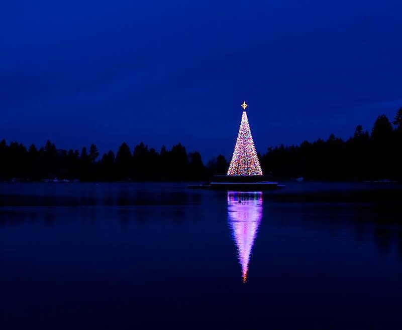 Illuminated Christmas Tree — Blue