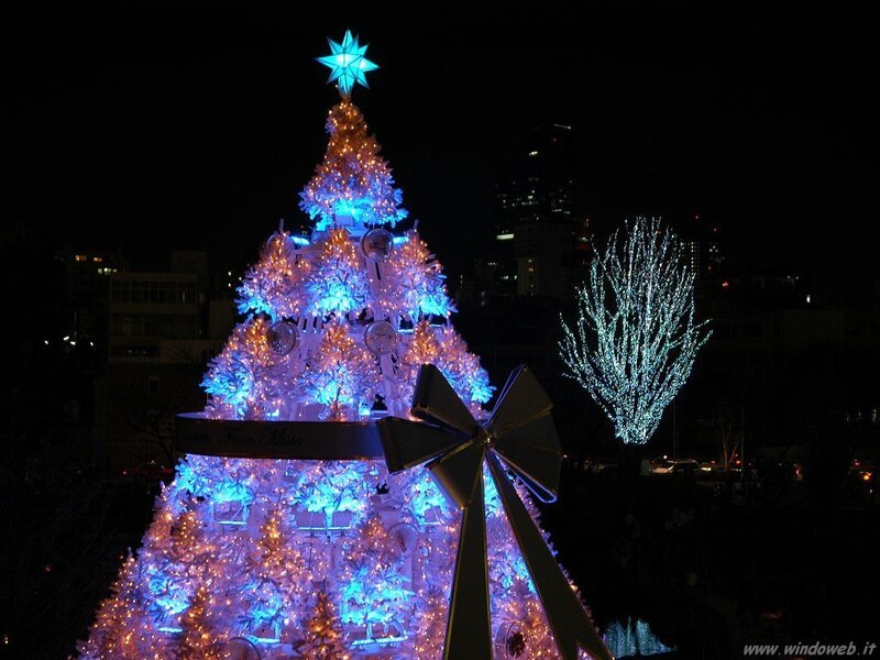 illuminated christmas tree display