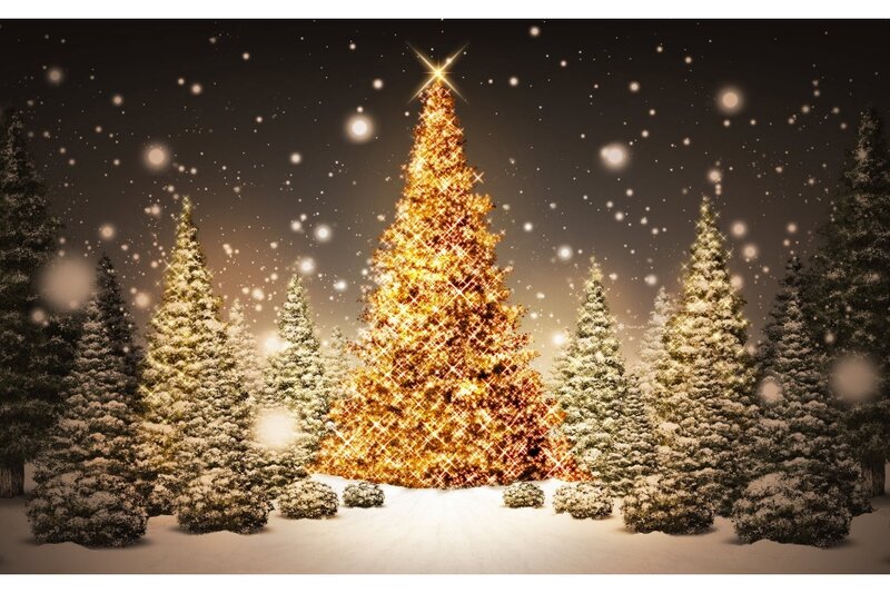 Illuminated Christmas Tree — Gold, Festive, Night