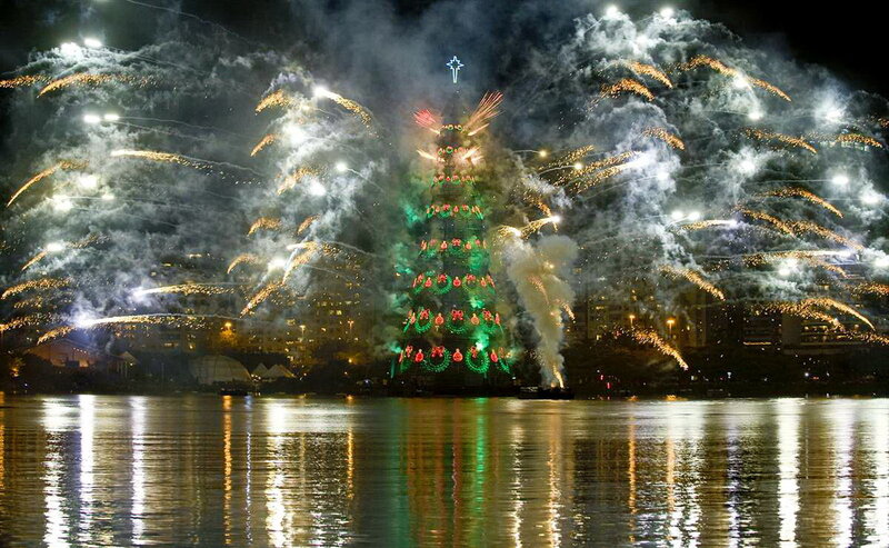Illuminated Christmas Tree — Green, Festive, Night, Photograph