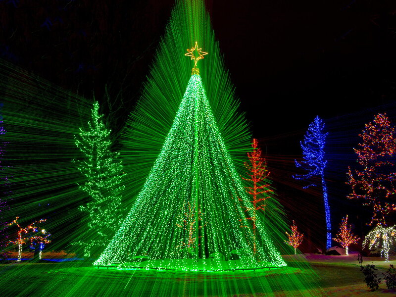 Illuminated Christmas Tree — Green, Festive, Night, Photograph, Trees