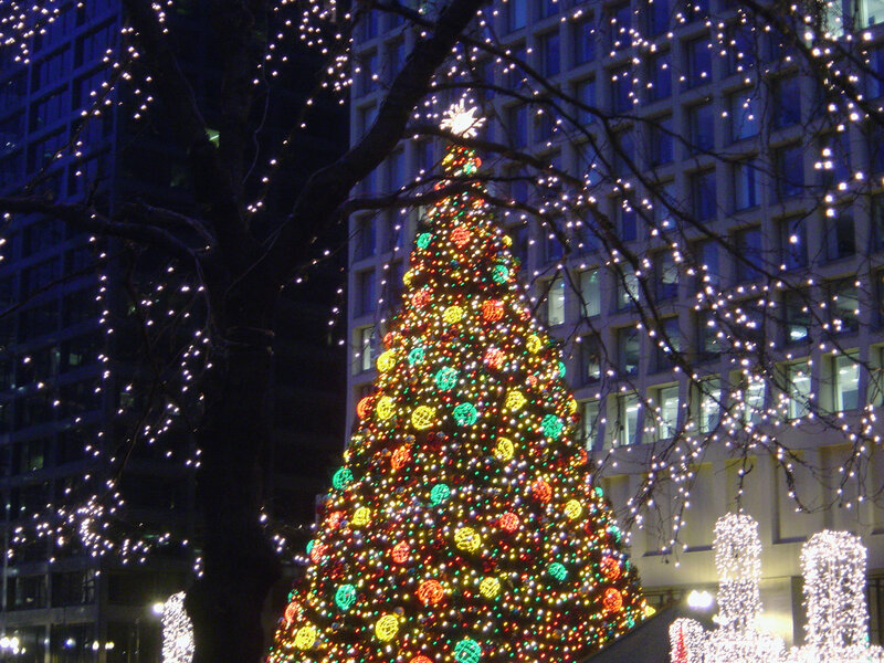 Illuminated Christmas Tree — Green, Festive, Night