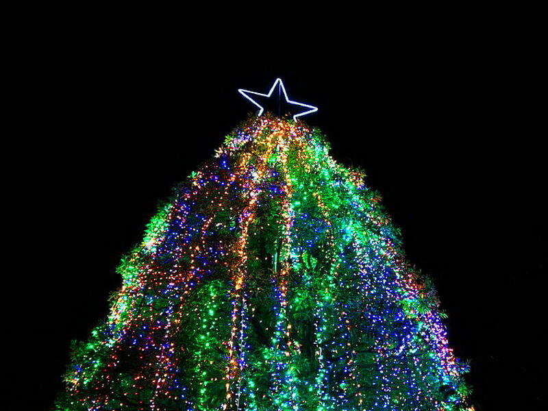 Illuminated Christmas Tree — Green, Festive