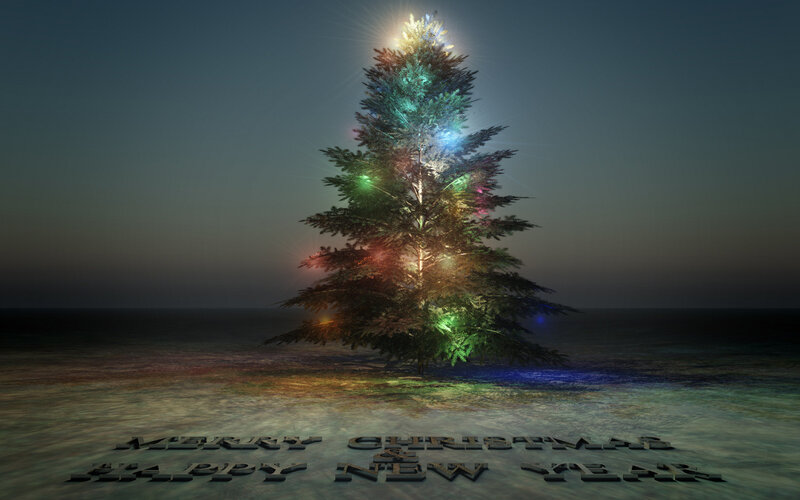 Illuminated Christmas Tree — Green, Serene, Night