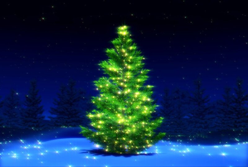 Illuminated Christmas Tree — Green, Serene