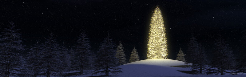 illuminated christmas tree in snow
