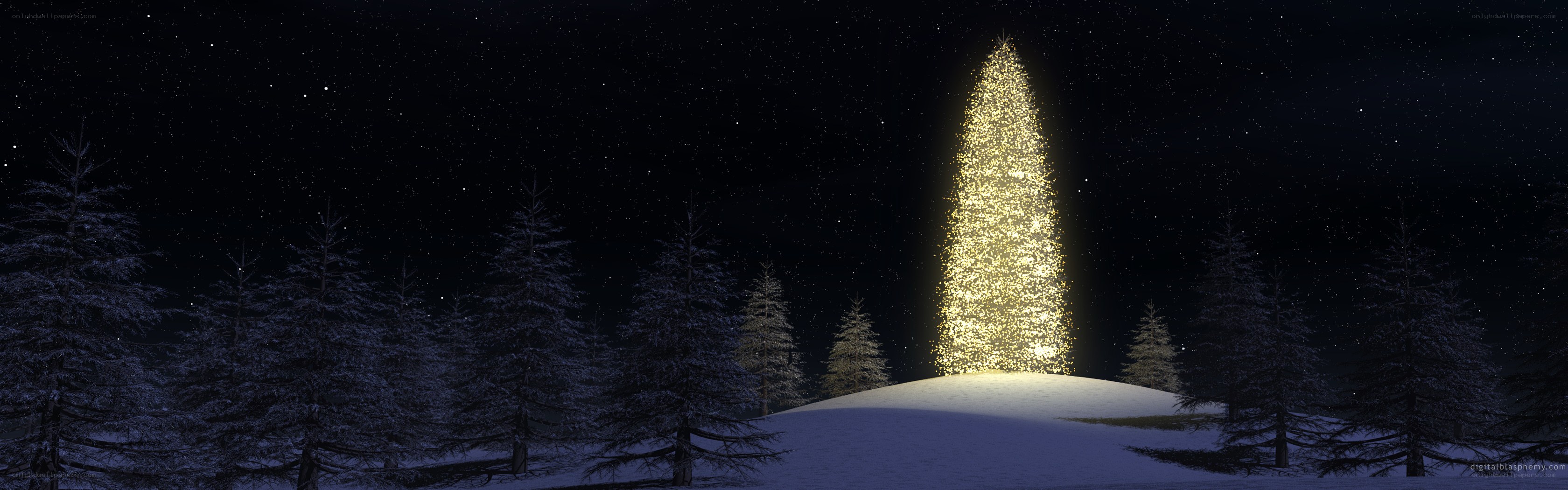 illuminated christmas tree in snow
