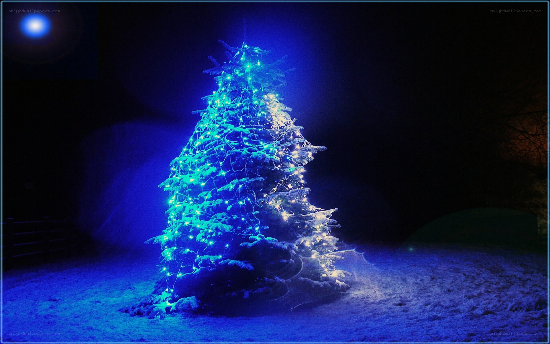 illuminated christmas tree in snow