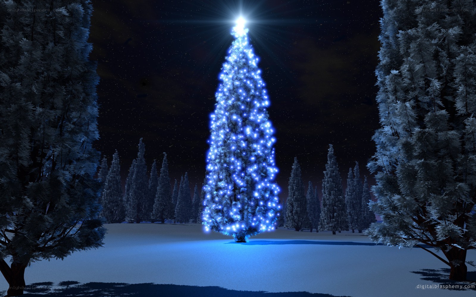 illuminated christmas tree in snow