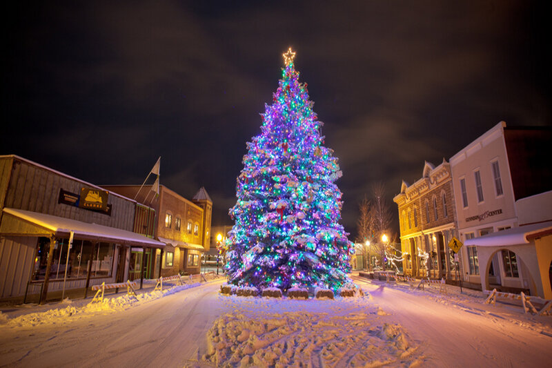 Illuminated Christmas Tree — Purple, Festive, Night, Photograph