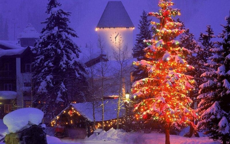 Illuminated Christmas Tree — Purple, Festive, Night