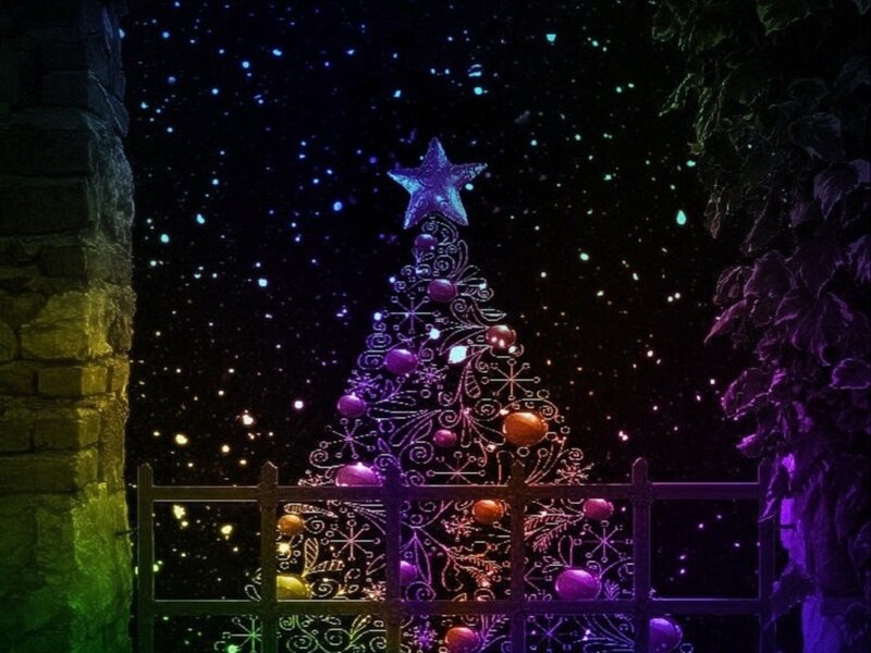 Illuminated Christmas Tree — Purple, Magical, Night