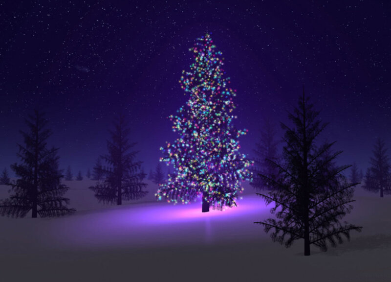 Illuminated Christmas Tree — Purple, Serene, Night, 3d Render