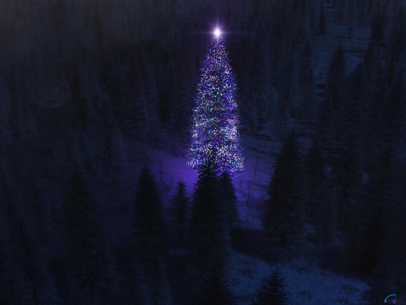 Illuminated Christmas Tree — Purple, Serene, Night, Digital Art, Forest