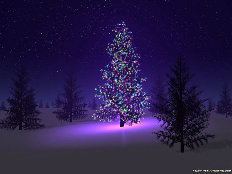 Illuminated Christmas Tree — Purple, Serene, Night, Digital Art, Snow, Trees, Stars, Black