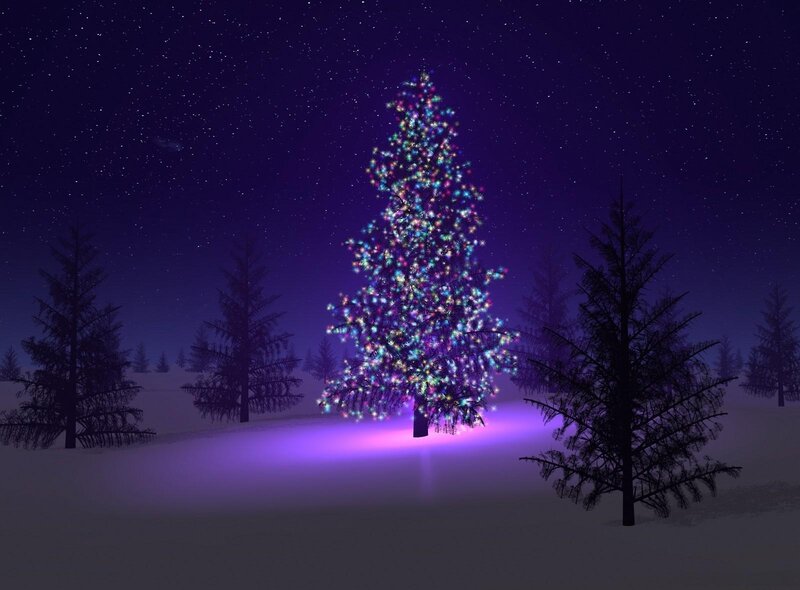 Illuminated Christmas Tree — Purple, Serene, Night, Digital Art, Snow, Trees, Stars