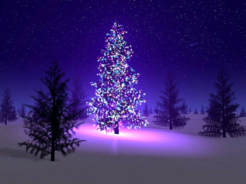Illuminated Christmas Tree — Purple, Serene, Night