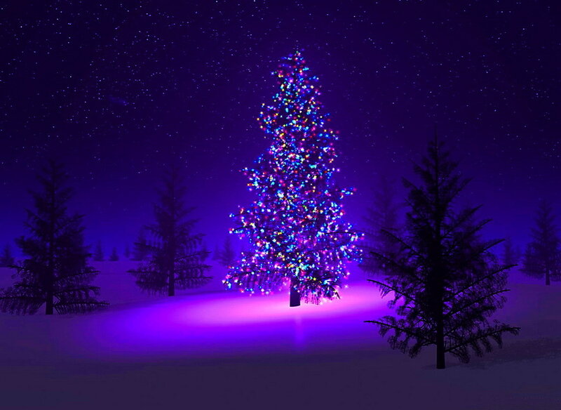 Illuminated Christmas Tree — Purple