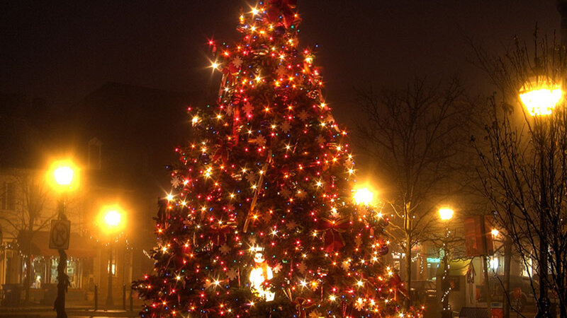 Illuminated Christmas Tree — Red, Festive, Night, Photograph, Streetlights, Bare Trees