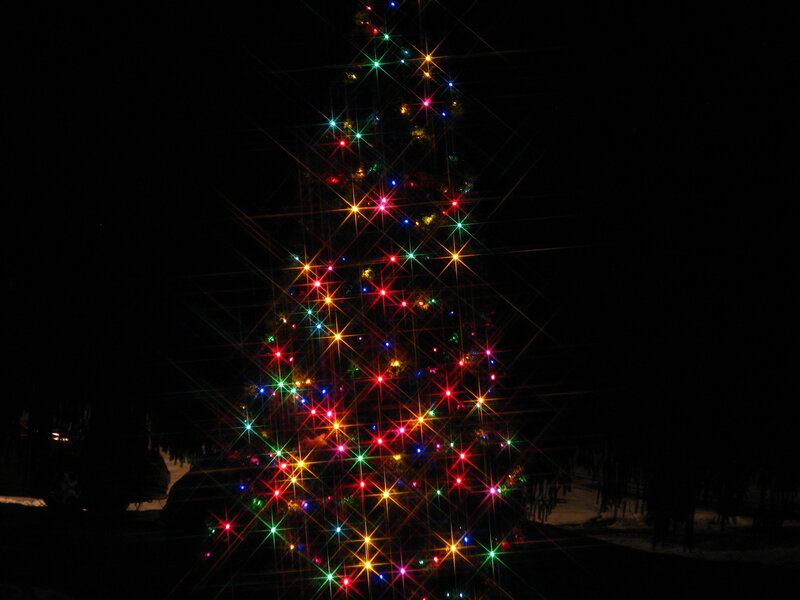 Illuminated Christmas Tree — Red, Festive, Night