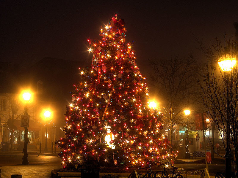 Illuminated Christmas Tree — Red