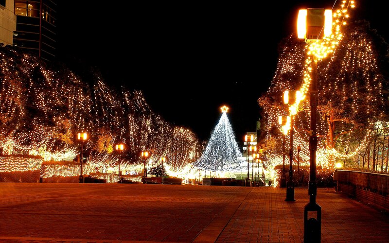 Illuminated Christmas Tree — White, Festive, Night, Photograph