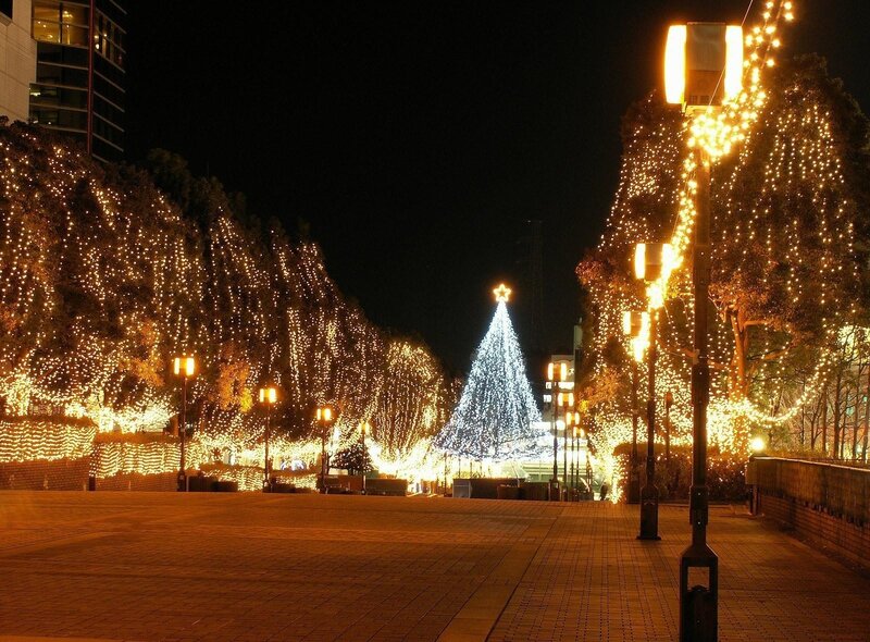 Illuminated Christmas Tree — White, Festive, Night, Photograph, Trees