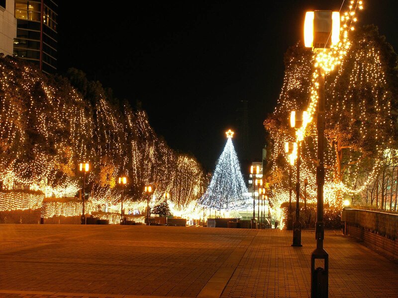 Illuminated Christmas Tree — White, Festive, Night