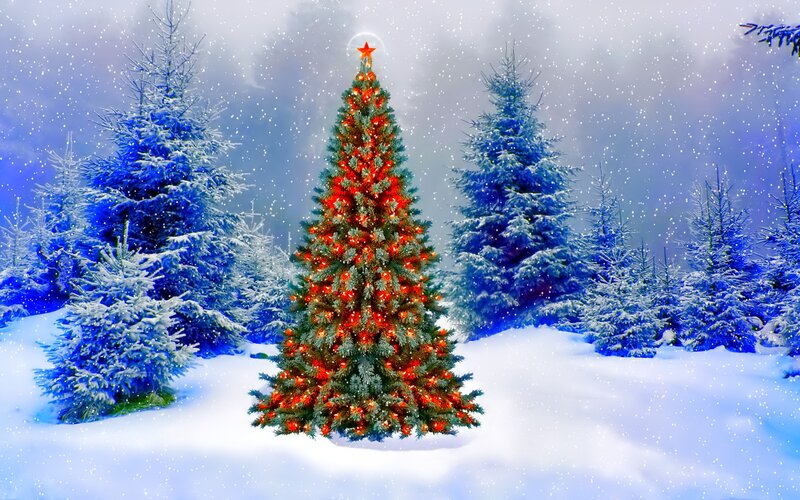 Illuminated Christmas Tree — White, Festive, Winter, Digital Art