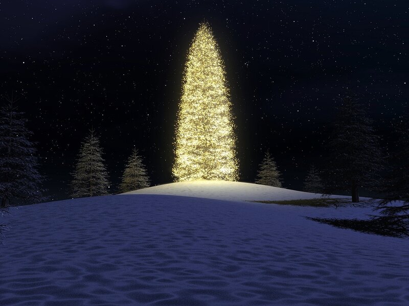 Illuminated Christmas Tree — White, Serene, Night, Digital Art