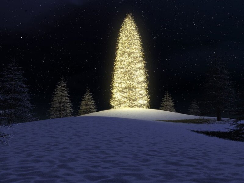 Illuminated Christmas Tree — White, Serene, Night