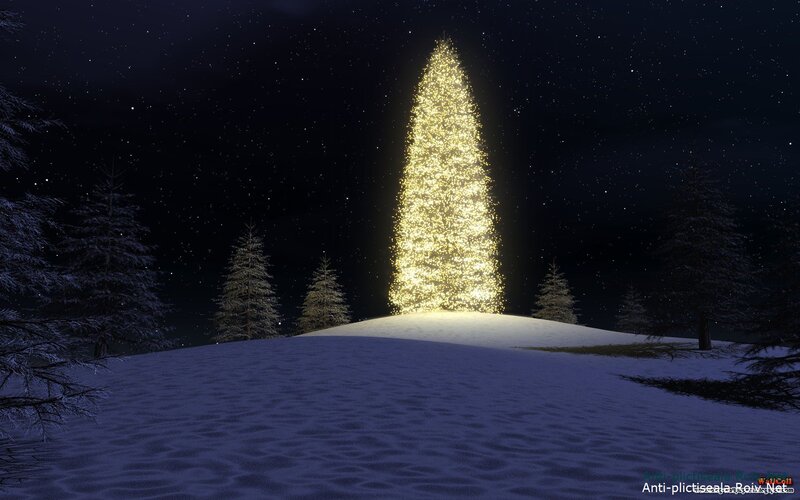 Illuminated Christmas Tree — White, Serene
