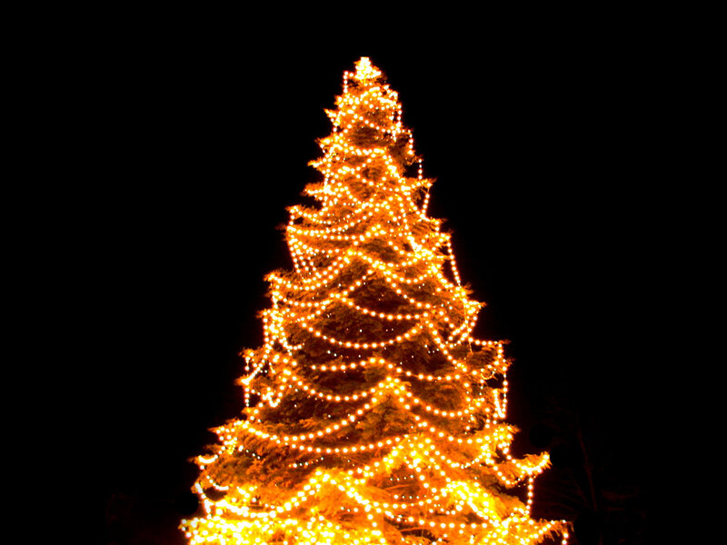 Illuminated Christmas Tree — Yellow, Festive, Night, Photograph