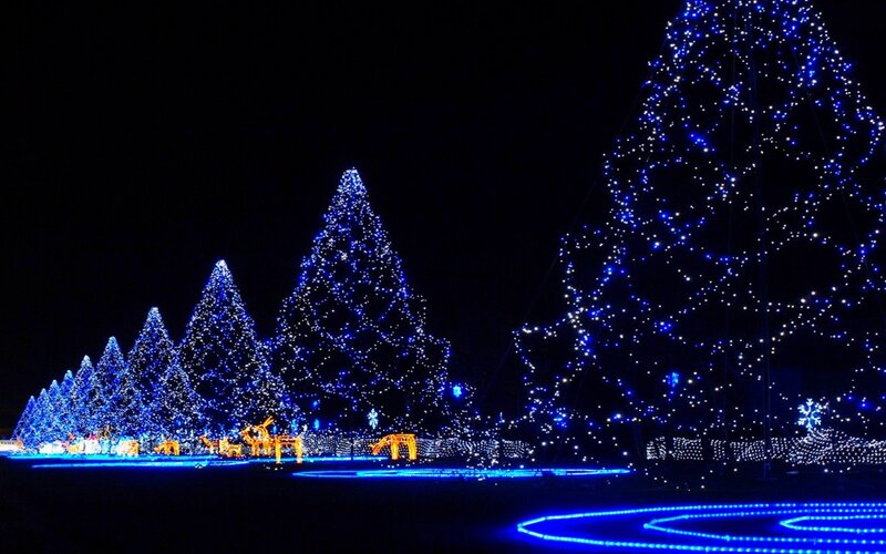 Illuminated Christmas Trees — Blue, Festive, Night, Photograph, Lights, Snowflakes, Decoration, Ground Lights